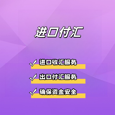 進(jìn)口付匯